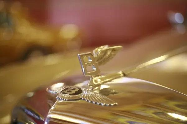 Gambols Casino Application Android/iOS